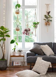 a living room filled with furniture and hanging plants