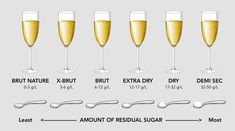 the different types of champagne glasses