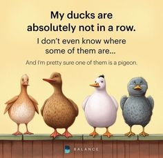 three ducks sitting on top of a wooden fence next to each other with a quote above them