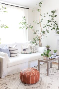 a living room filled with furniture and a tree in the middle of the room on top of a rug