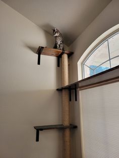 a cat sitting on top of a scratching post