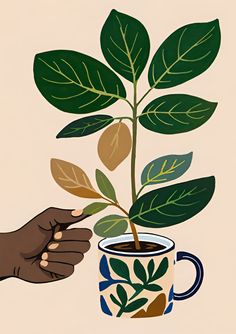 a hand holding a coffee mug with a plant in it and another hand reaching for the cup