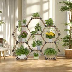 several potted plants are arranged on hexagonal shelves in the corner of a room