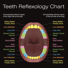 Teething Chart, Throat Remedies, Tooth Chart, Teeth Health, Tooth Pain, Home Doctor, Sore Throat