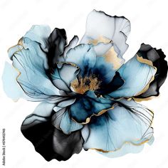 a blue flower with black and white petals