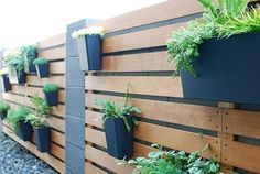 a wooden fence with many plants growing on the side and attached to it, along with gravel