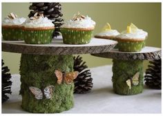 cupcakes are decorated with moss and pine cones