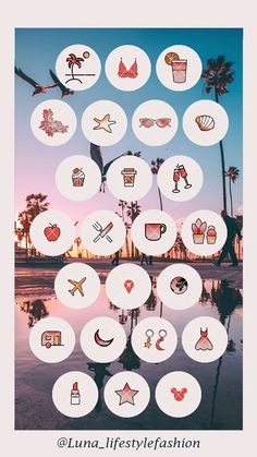 a poster with different types of icons on it's front and back cover, including palm trees