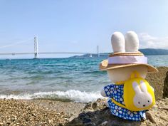 a stuffed animal is sitting on the rocks by the water with a bridge in the background