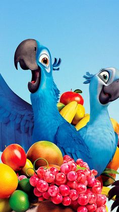 two blue birds standing next to each other with fruit in front of them on a sunny day