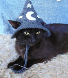 a black cat wearing a knitted wizard hat