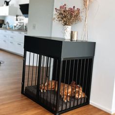 two dogs sleeping in their kennels on the floor next to a vase with flowers