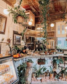 a kitchen filled with lots of potted plants and hanging lights above the stove top