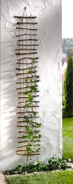 a white wall with some plants growing on it