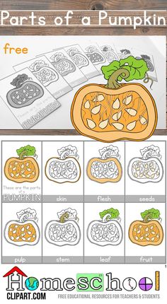 Free Parts of a Pumpkin Montessori Nomenclature Cards.  Also quite a few free worksheets for science journals Montessori Work, Homeschool Montessori, Montessori Language, Montessori Cards, Language Therapy Activities