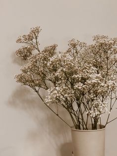 a white vase filled with flowers on top of a table