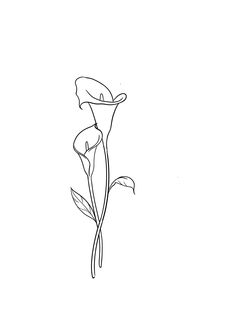 a drawing of a single flower on a white background