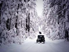 a four - wheeler driving down a snow covered road in the middle of some trees