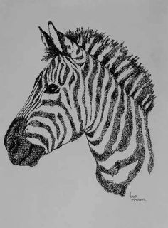 a black and white drawing of a zebra