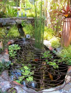 a garden pond surrounded by plants and rocks