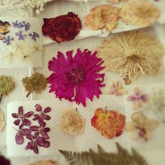 various dried flowers and leaves are arranged on a white tablecloth with paper napkins