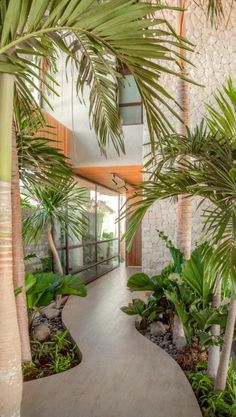 the inside of a building with palm trees and other tropical plants in front of it