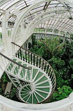 an aerial view of a spiral staircase in a greenhouse