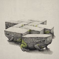 two frogs sitting on top of cement blocks