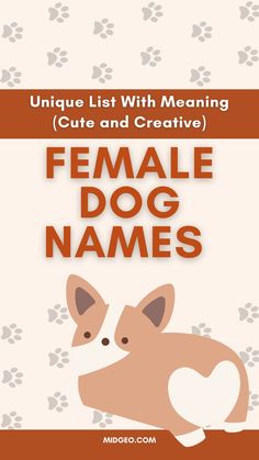 an animal with the title unique list with meaning cute and creative, female dog names