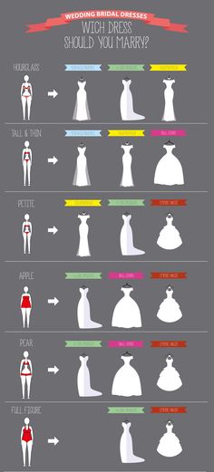 an info sheet showing the different types of chess pieces