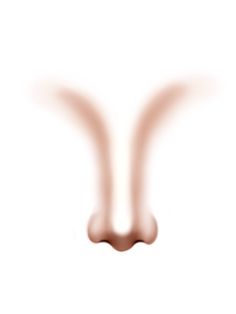 an animal's nose is shown in this blurry image