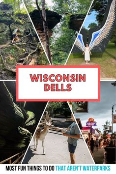 photo collage at Wisconsin Dells of family vacation to the Dells including Wisconsin Dells hikes wildlife encounters photo ops Midwest Travel Destinations, Animal Encounters, Budget Friendly Travel