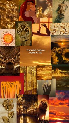 Star sign / zodiac sign of LEO wallpaper with tigers, lions,golden rose, lion king, fire, gold asthetic sun sets and more ... Leo Aesthetic Wallpaper Iphone, Leo Zodiac Wallpaper Aesthetic, Zodiac Signs Wallpaper, Leo Wallpaper, Signs Wallpaper, Aries Wallpaper, Tiger Zodiac, Fire Lion