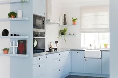 a kitchen with blue cabinets and white walls has plants on the shelves above the sink