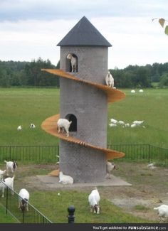 several goats are standing on the ledges of a tower in a field with sheep