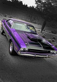 a purple muscle car parked on the side of a road next to cactuses and trees