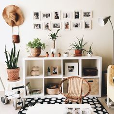 a living room filled with lots of plants and pictures on the wall next to a chair