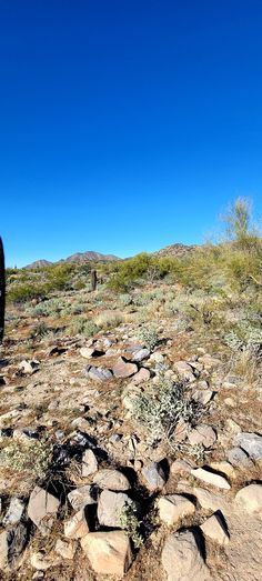 a dirt field with rocks and plants in the foreground on a sunny day,