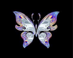 an abstract butterfly with multicolored wings is shown in the dark background, and it appears to be very colorful