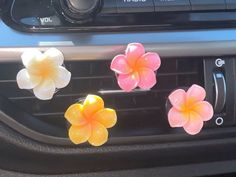 three flowers are placed on the dashboard of a car