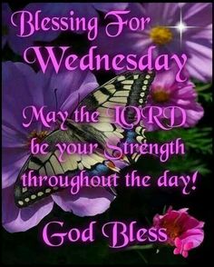 a butterfly sitting on top of purple flowers with the words, blessing for wednesday may the lord be your strength throughout the day