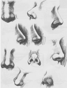 some different types of nose and mouth sketches