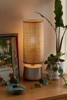 a lamp sitting on top of a wooden table next to a vase with plants in it