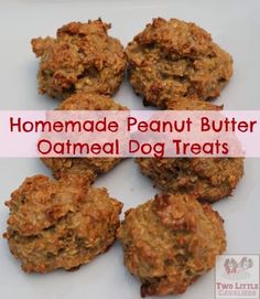 homemade peanut butter oatmeal dog treats on a white plate with text overlay