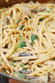 pasta with mushrooms and spinach in a pan