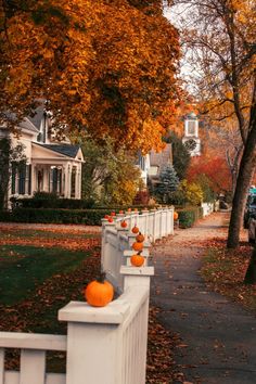 an orange pumpkin sitting on the side of a white fence next to a road with houses in the background