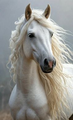 a white horse with long blonde hair