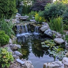 a small pond surrounded by rocks and water lilies