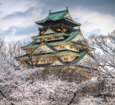 a tall building sitting on top of a lush green hillside next to trees with white flowers