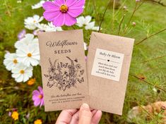 someone holding up two seed packets in front of some wildflowers and daisies